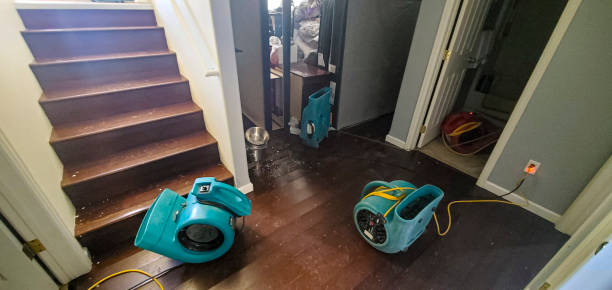 Best Local water damage restoration  in San Martin, CA