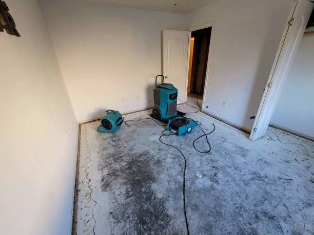 Best Ceiling water damage repair  in San Martin, CA