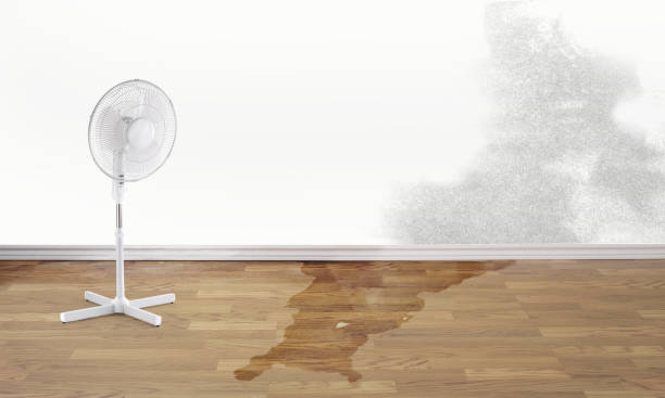 Best Flooded house restoration  in San Martin, CA