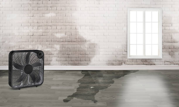 Best Water damage restoration mold remediation  in San Martin, CA